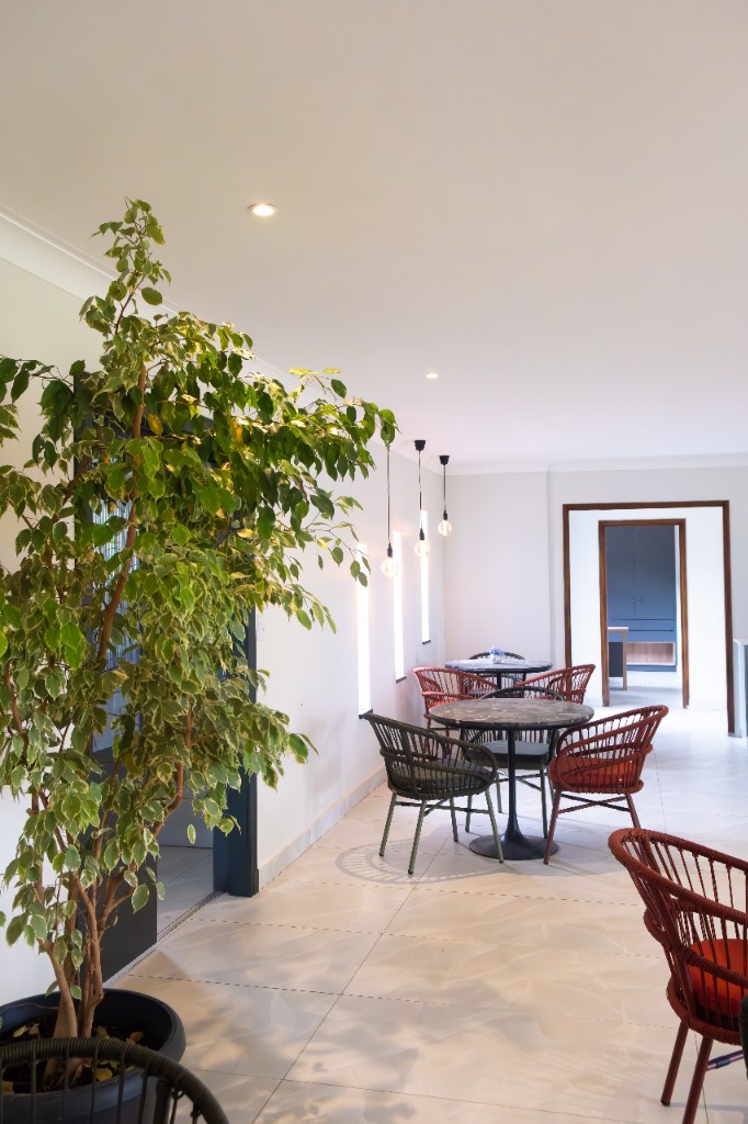 Lush greenery in our interior spaces