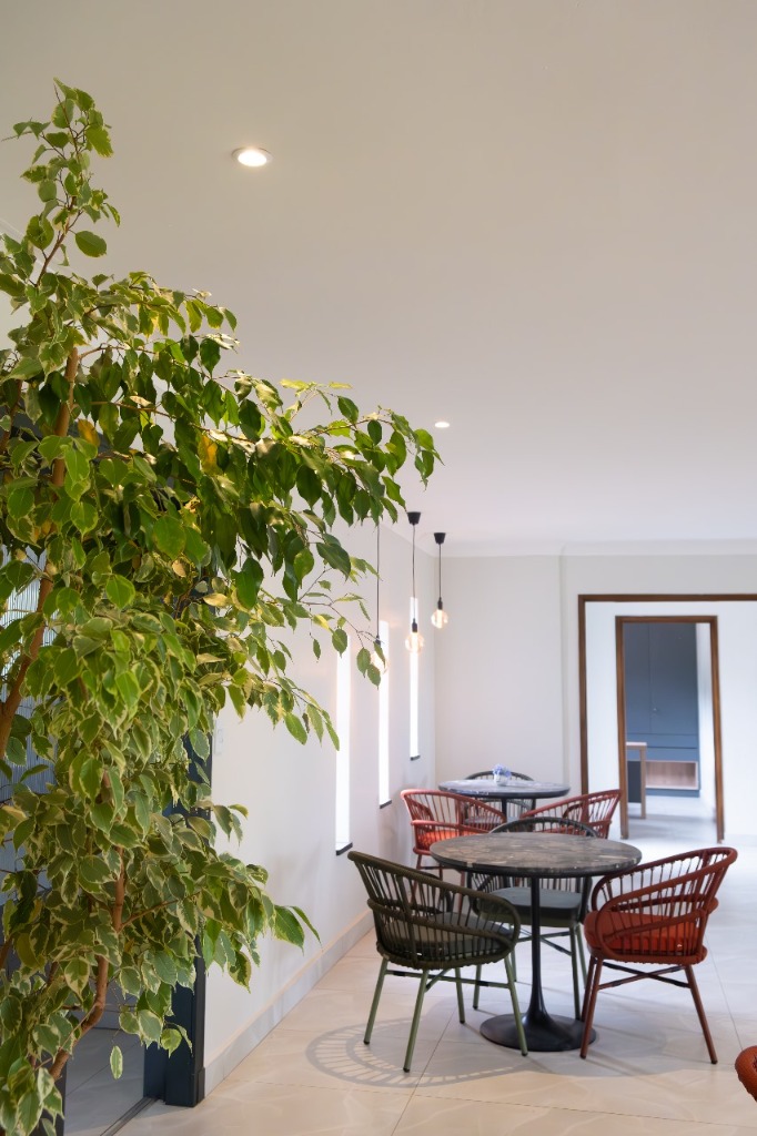 Comfortable seating and natural decor